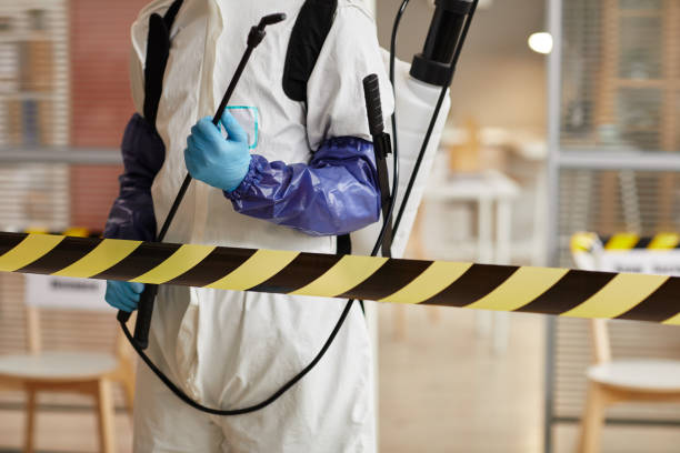 Professional Sewage Cleanup technician working in Lamont, CA